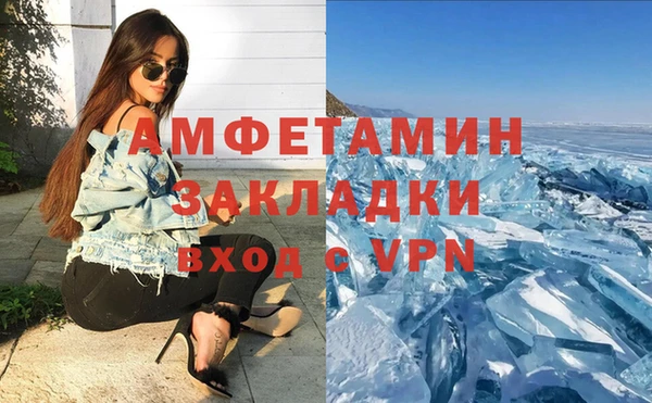 индика Кедровый