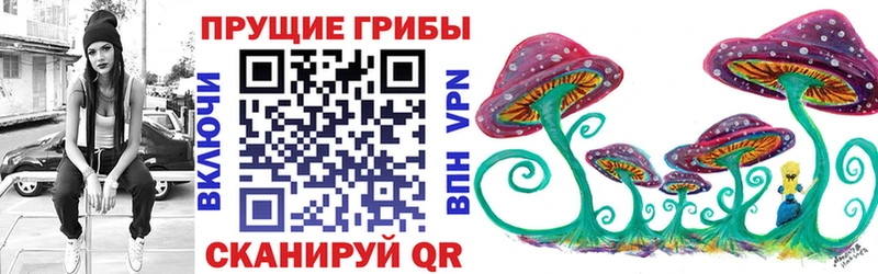 kraken онион  Медвежьегорск  Галлюциногенные грибы Magic Shrooms 